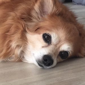 Meet your Posher, Amber